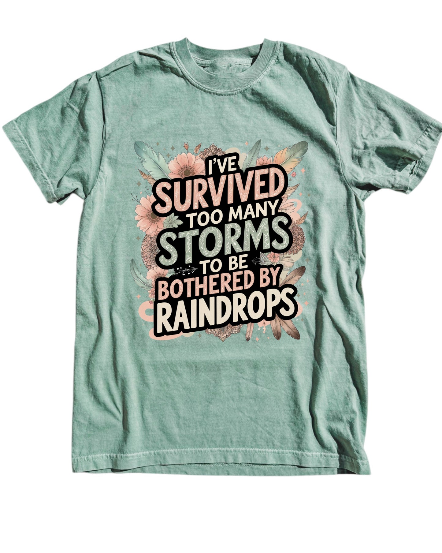 I've Survived Too Many Storms