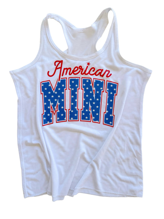 American Mini Flag