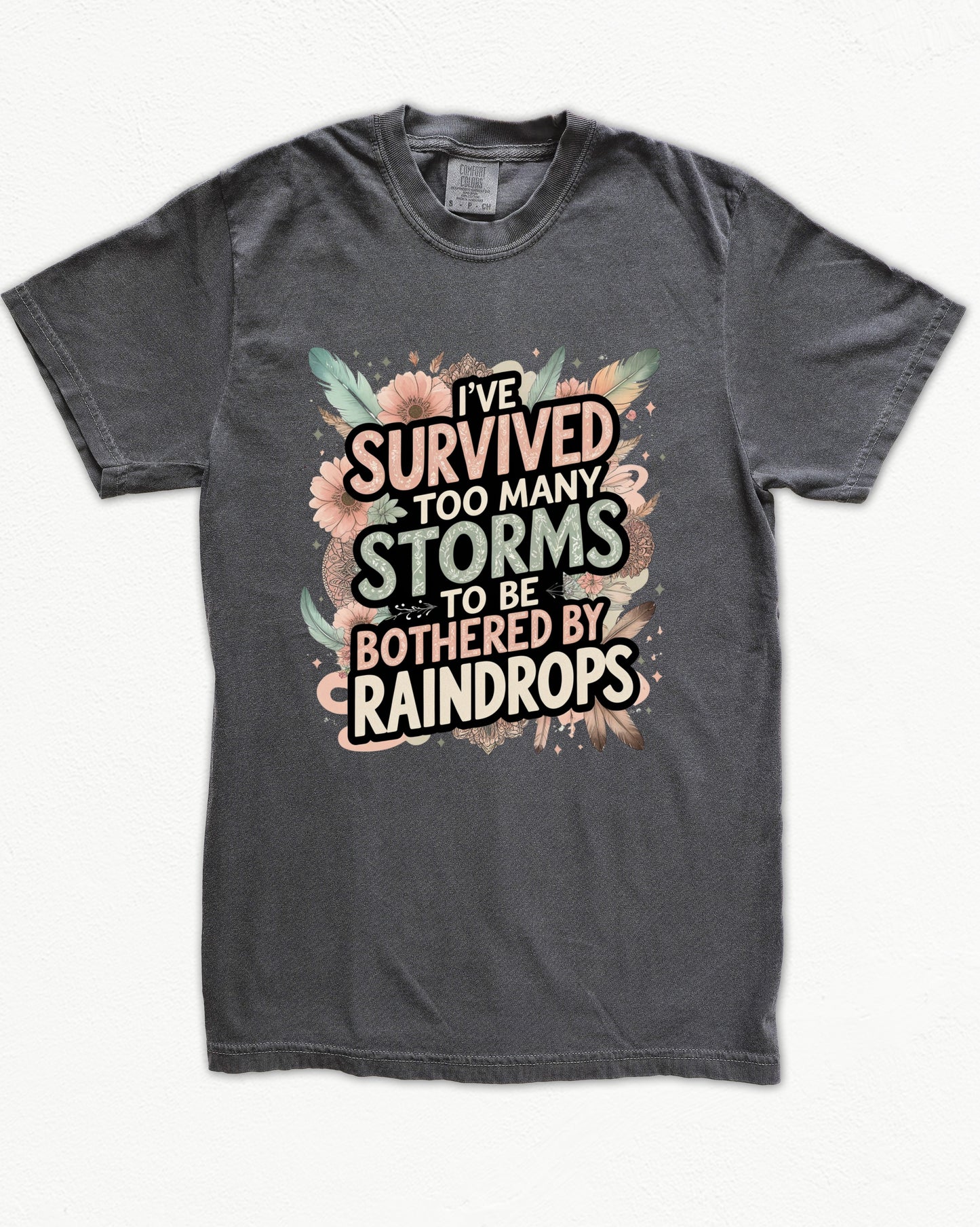I've Survived Too Many Storms